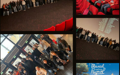 Sortie cinéma des pensionnaires