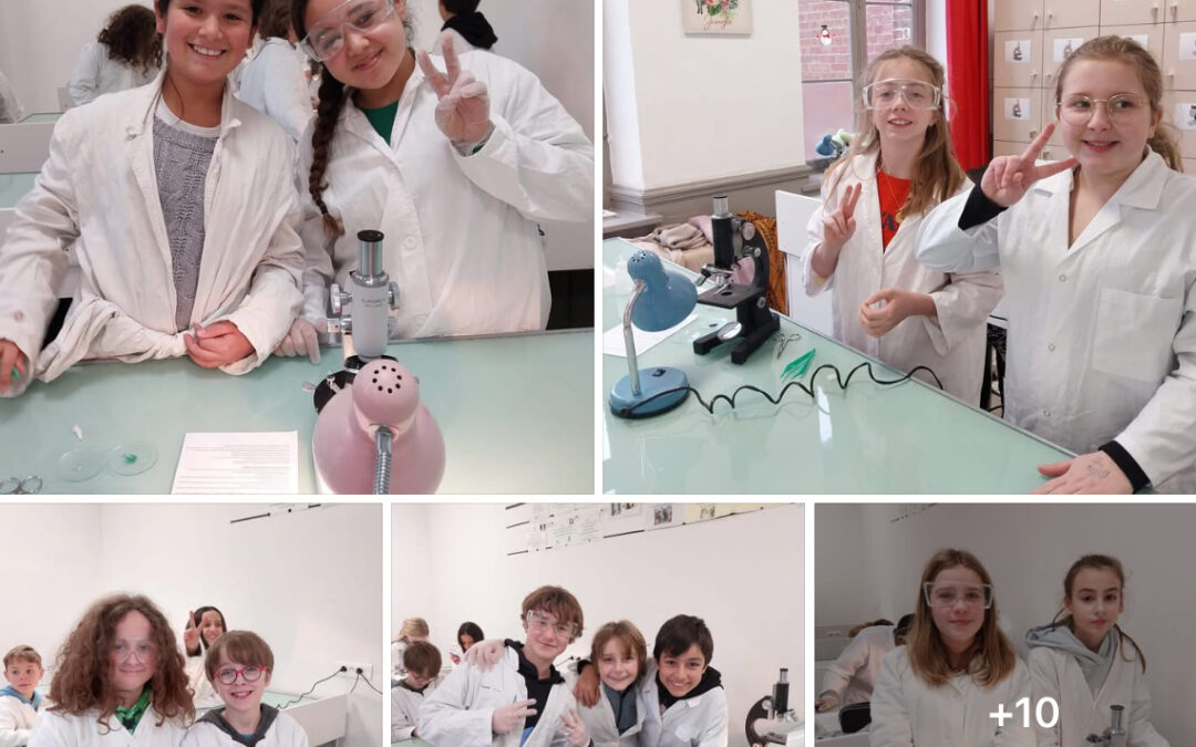 Découverte des cellules pour nos 6èmes