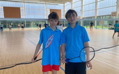 Championnat territoire badminton
