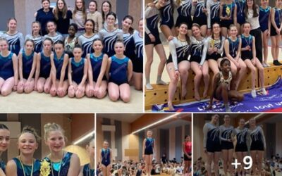 Championnat comité de gym