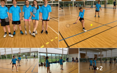 Championnat territoire badminton