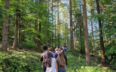 Voyage des 3èmes en Alsace: jour 3