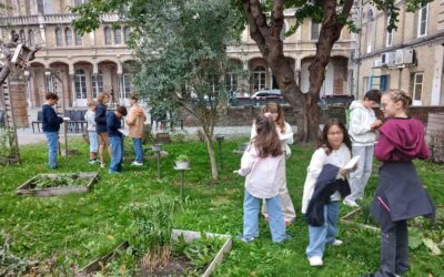 Les collégiens découvrent le jardin du lycée