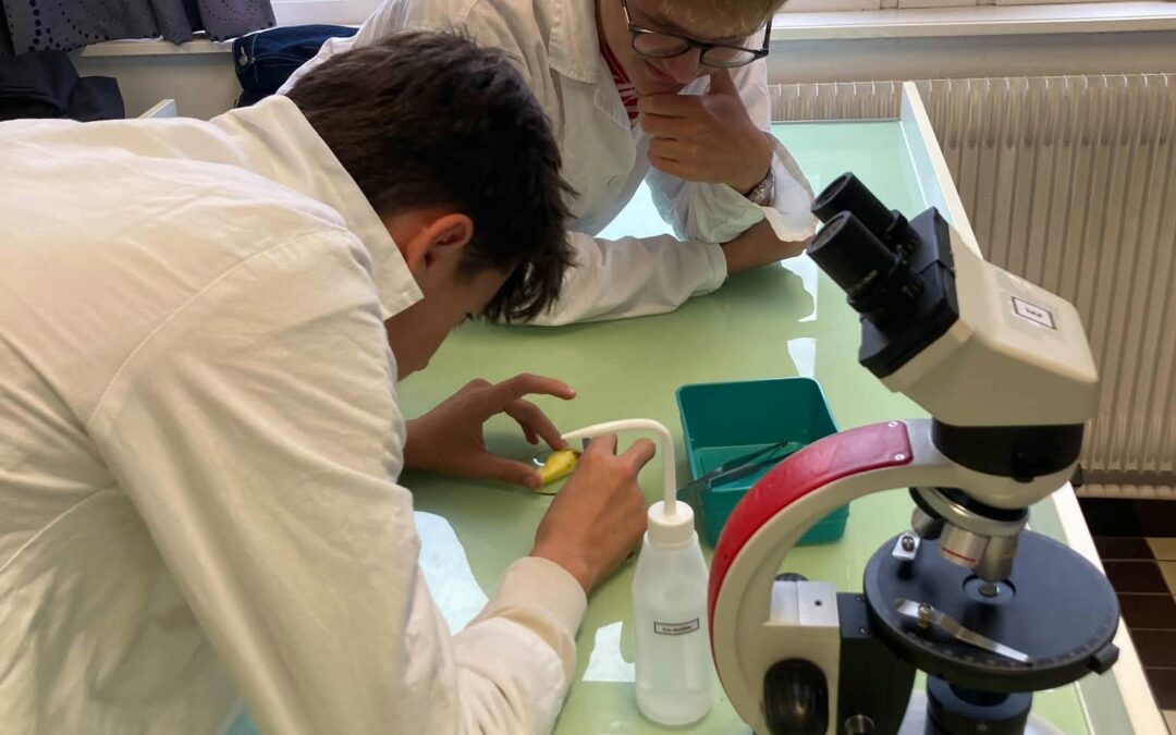 Semaine de la science: immersion des 3èmes du collège Notre-Dame de Lumbres